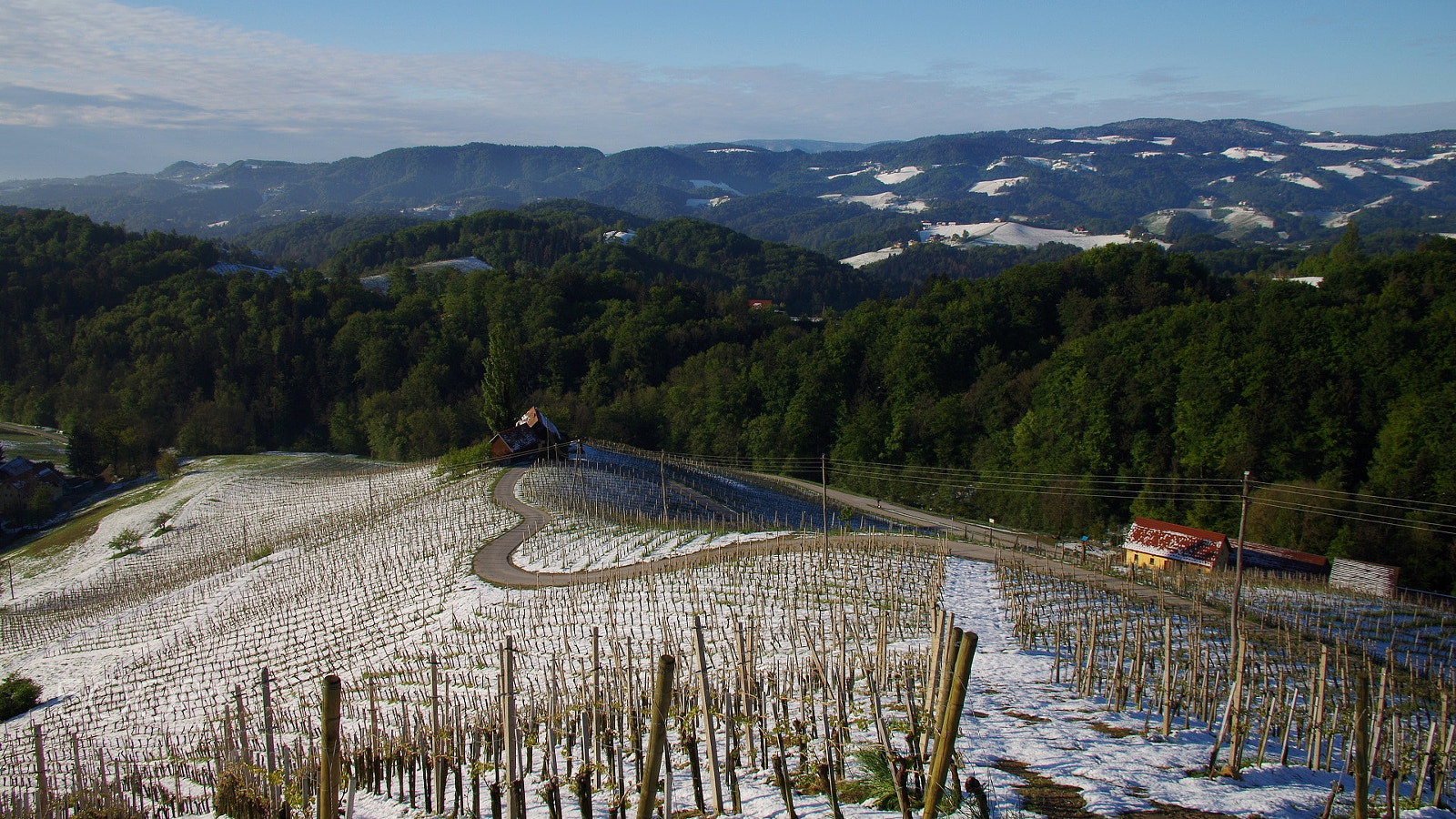 Pentax K-50 + Sigma Lens (8 255) sample photo. Road in the shape of heart photography