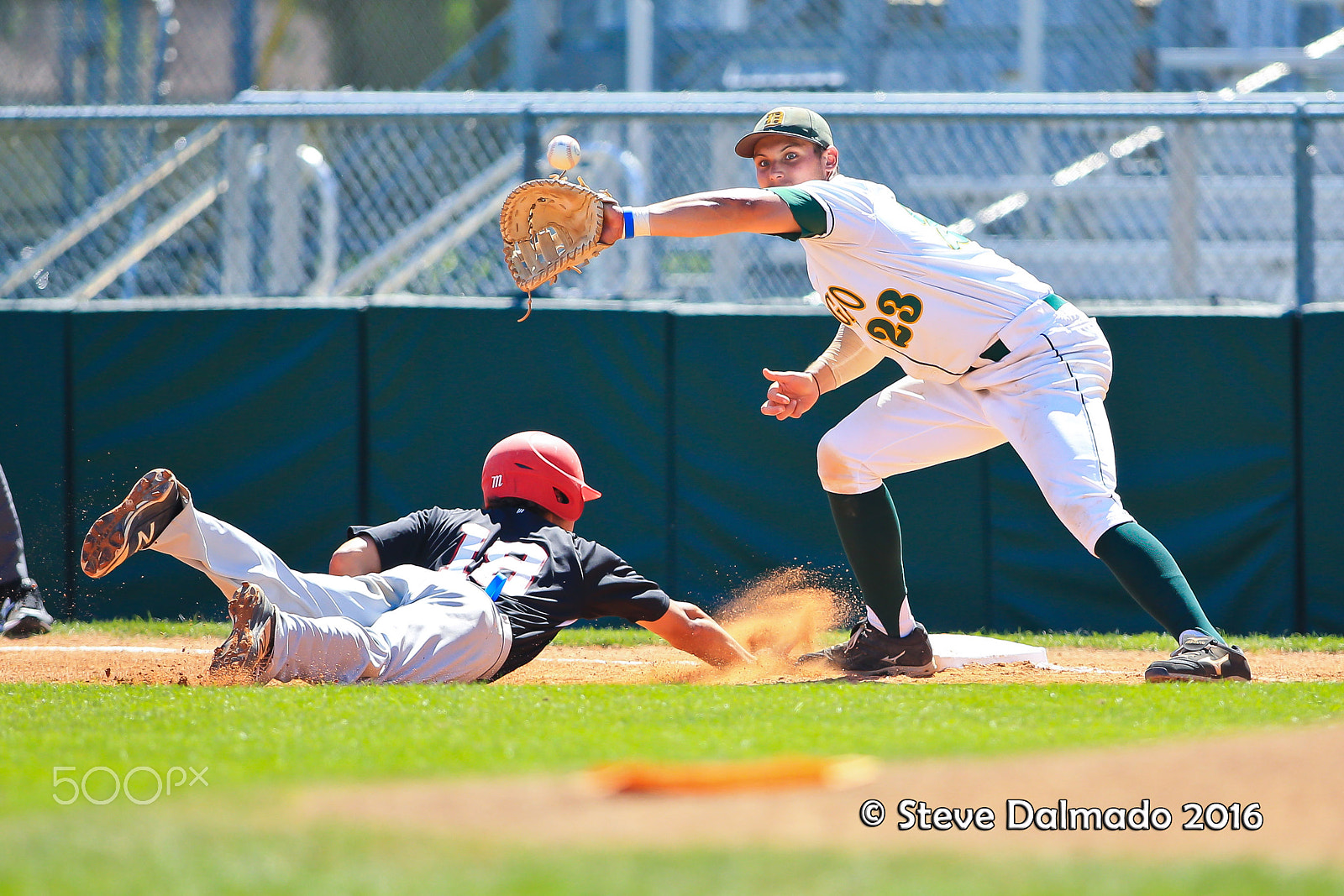 Canon EOS-1D X + Canon EF 400mm f/2.8L sample photo. Safe at 1st photography