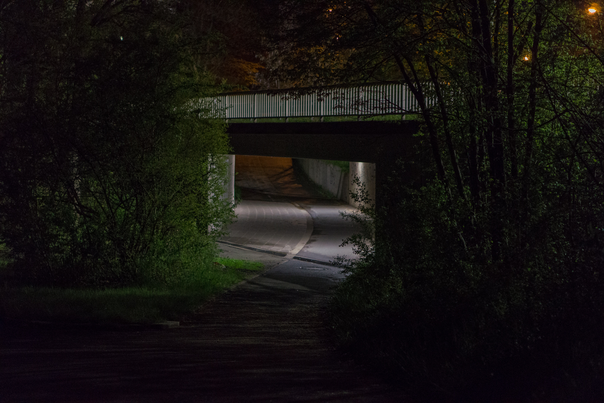Sony a5100 + E 50mm F1.8 OSS sample photo. Night tunnel photography