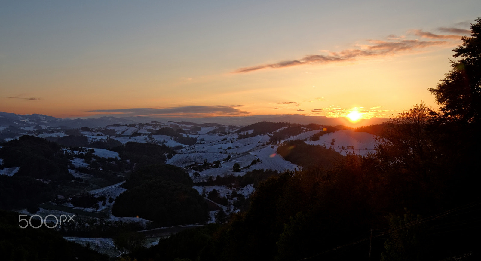 Sigma Lens (8 255) sample photo. Sunset view on snowy vineyards photography