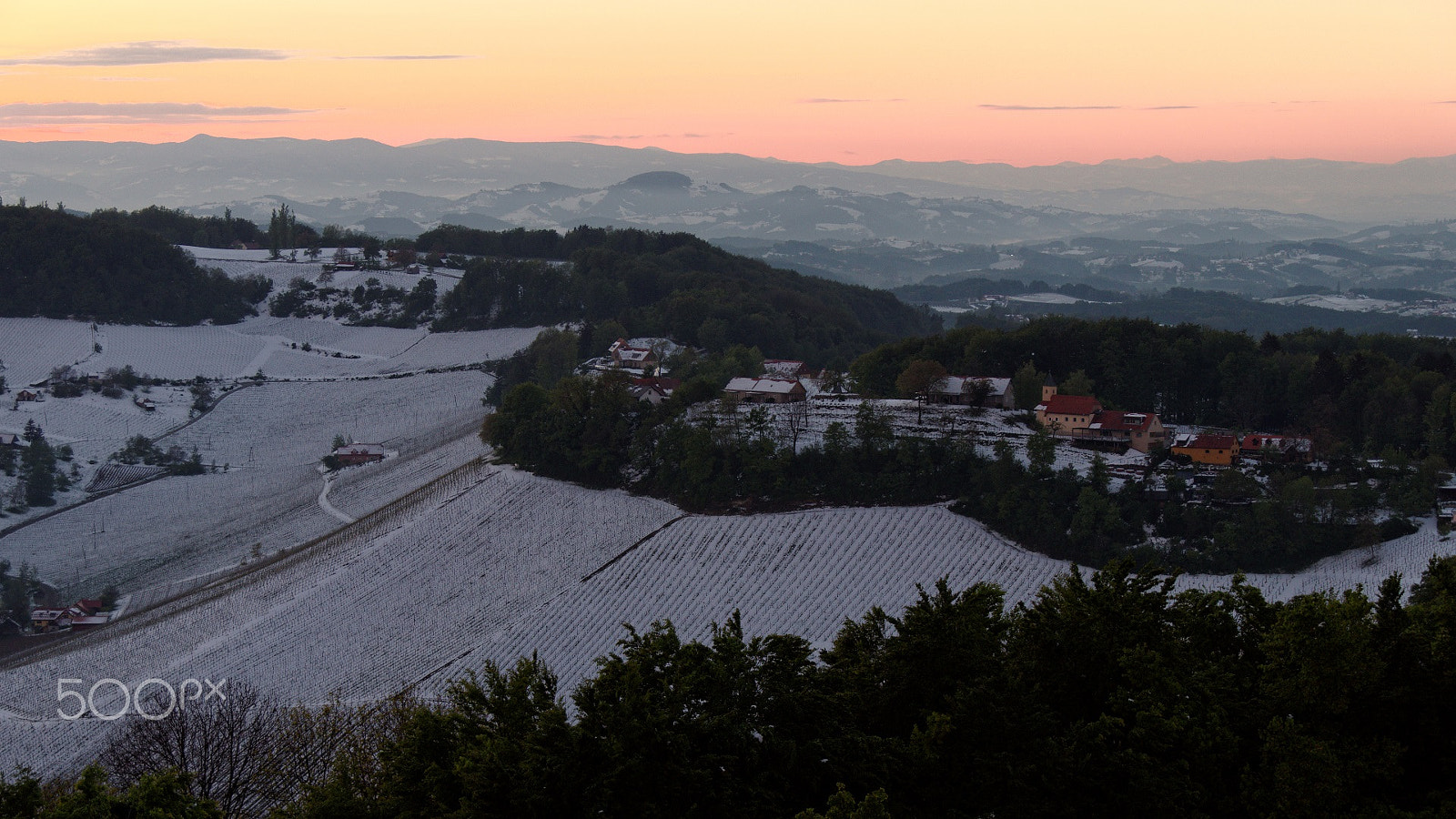 Pentax K-50 + Sigma 50-200mm F4-5.6 DC OS HSM sample photo. After sunset view on snowy vineyards photography