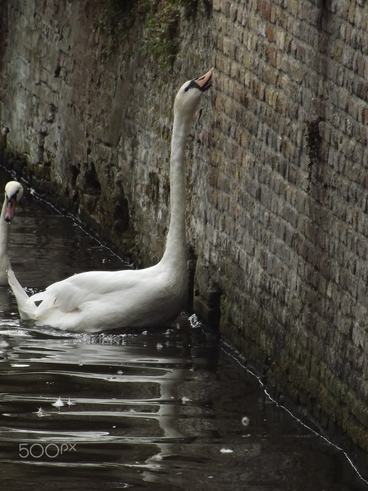FujiFilm FinePix S3200 (FinePix S3250) sample photo. Bruges photography