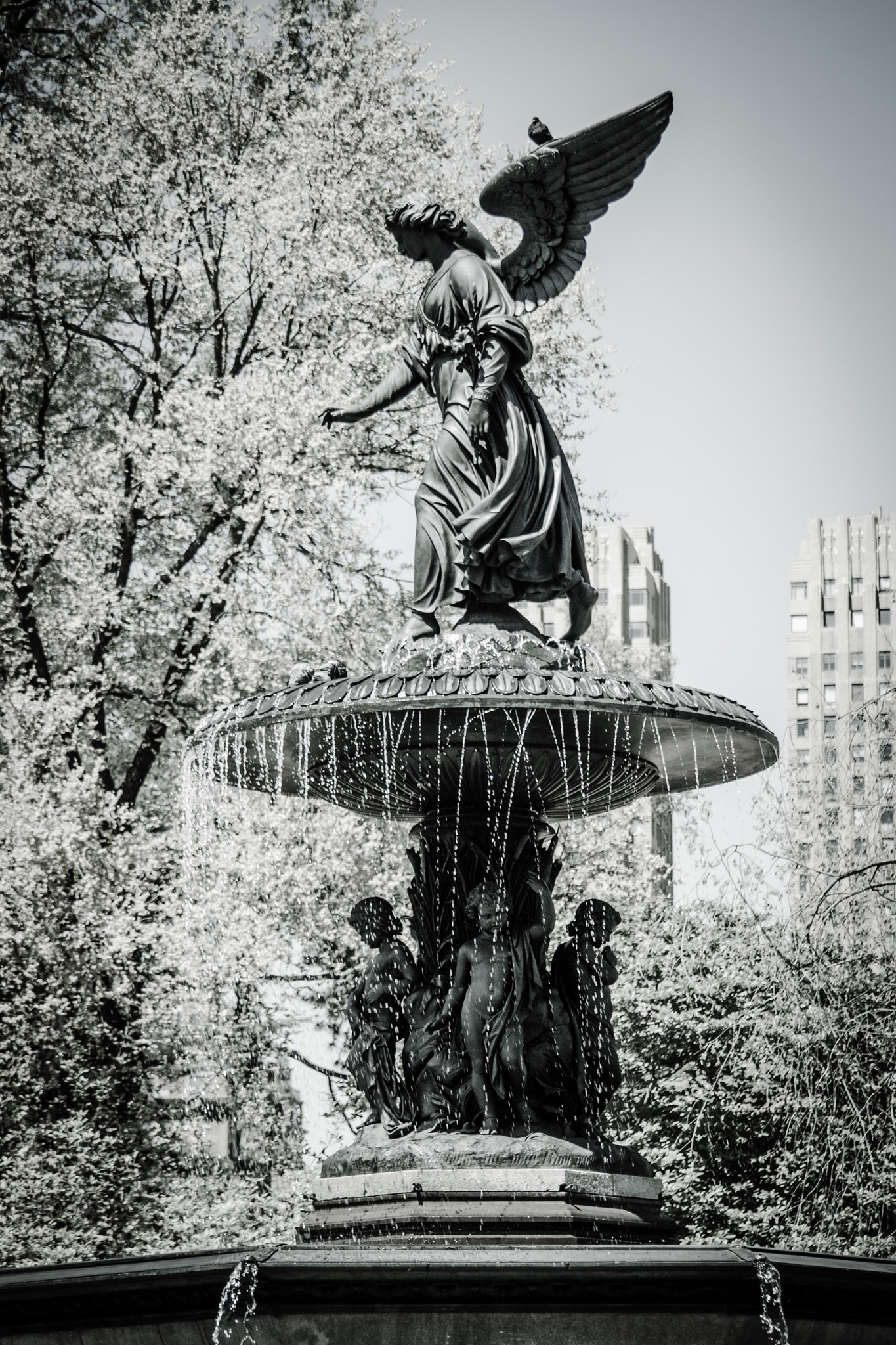 Canon EOS 40D sample photo. Bethesda terrace fountain photography