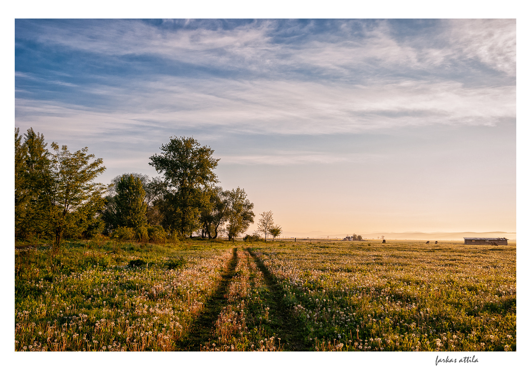 Nikon D60 sample photo. Dawn on the road... photography