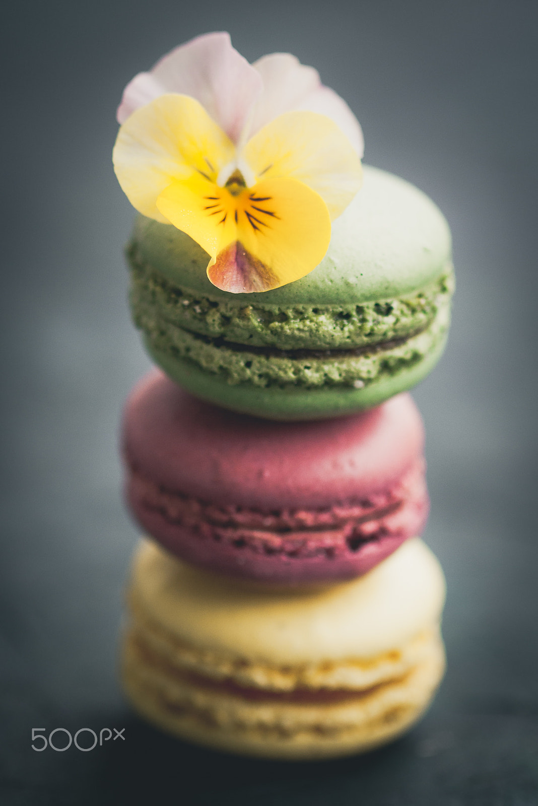 Canon EOS 1000D (EOS Digital Rebel XS / EOS Kiss F) + Canon EF 100mm F2.8L Macro IS USM sample photo. Stack of macarons, with a pansy flower, selective focus. photography