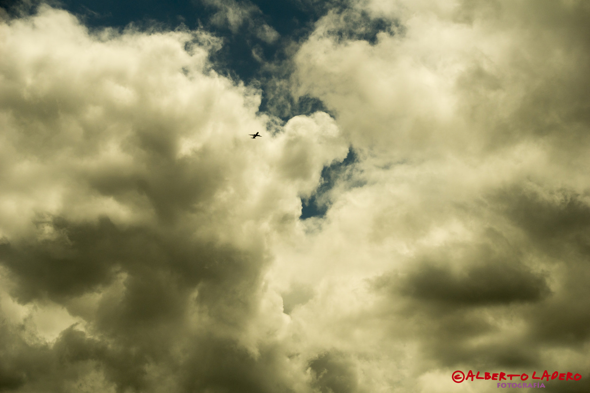 Sony DT 16-105mm F3.5-5.6 sample photo. Fly away photography