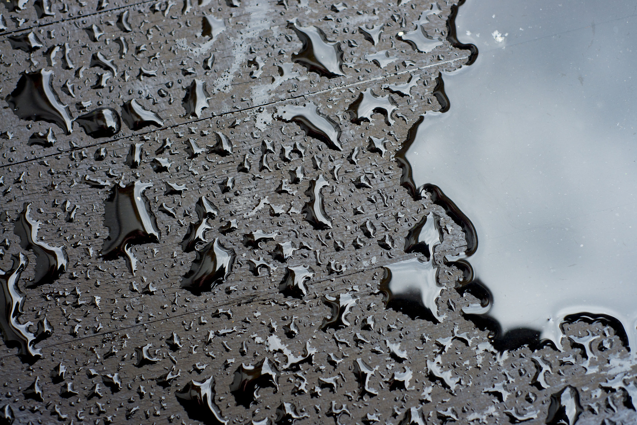 Nikon D800 + AF Nikkor 50mm f/1.8 sample photo. Textura gotas photography