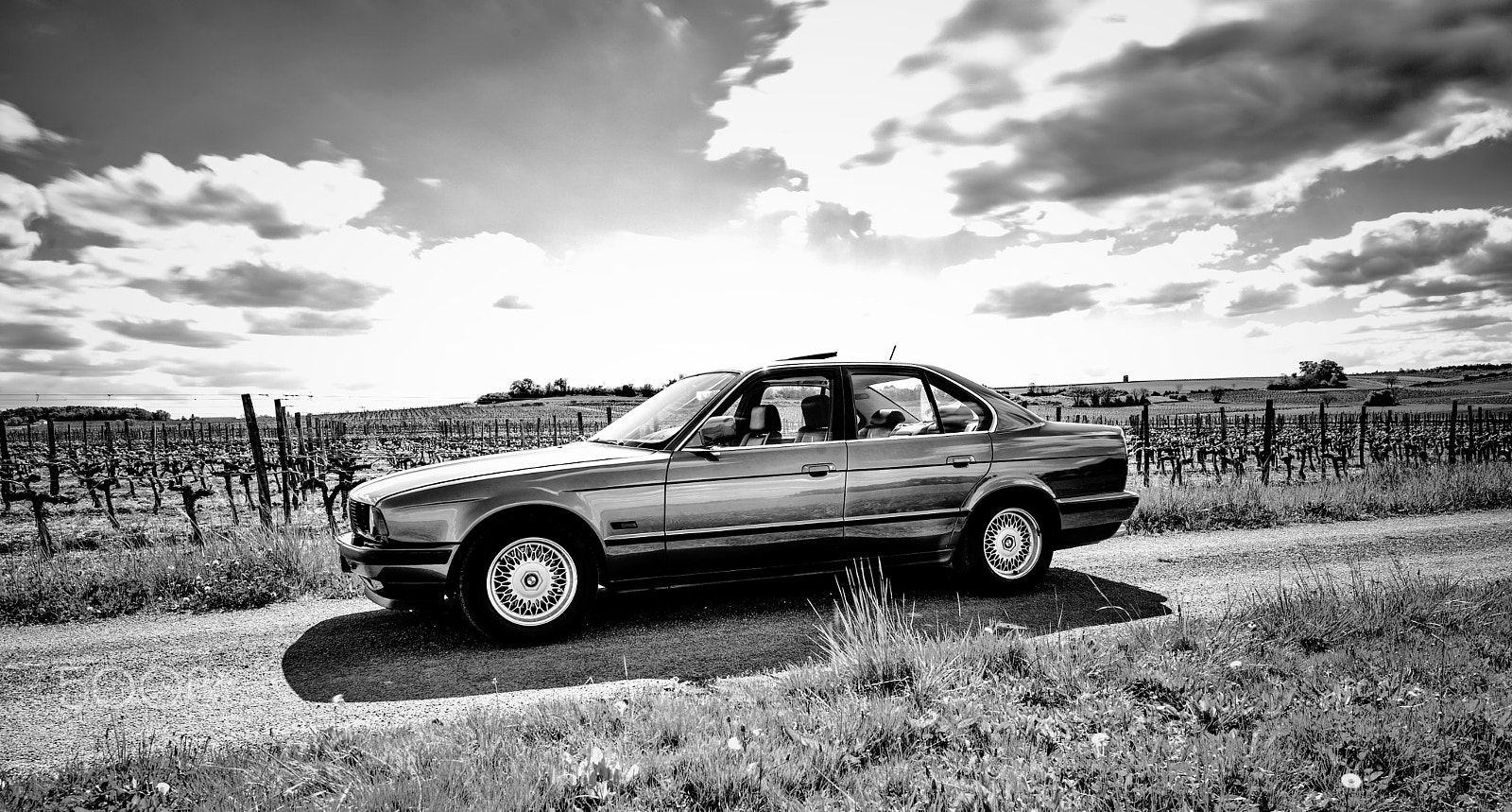 Nikon D3X sample photo. Old bmw in the field photography