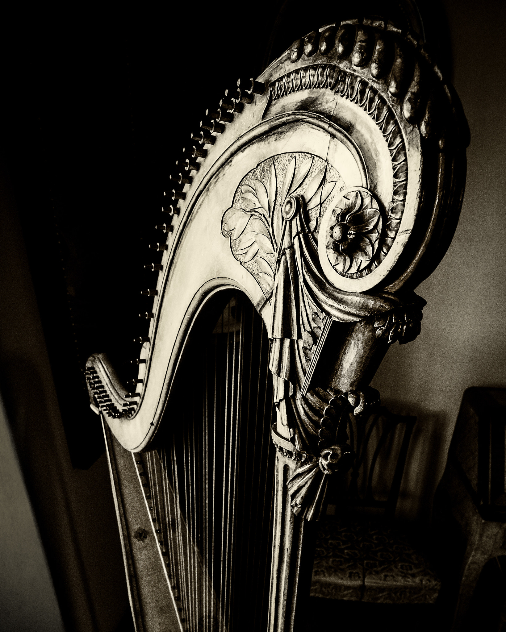Canon EF-S 10-18mm F4.5–5.6 IS STM sample photo. Harp photography