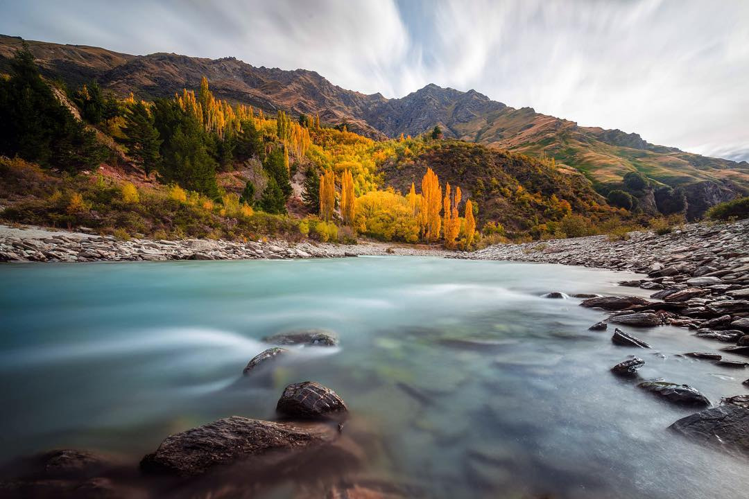 Discovering amazing places the shotover river and its beautiful yellow trees such gorgeous colors...
