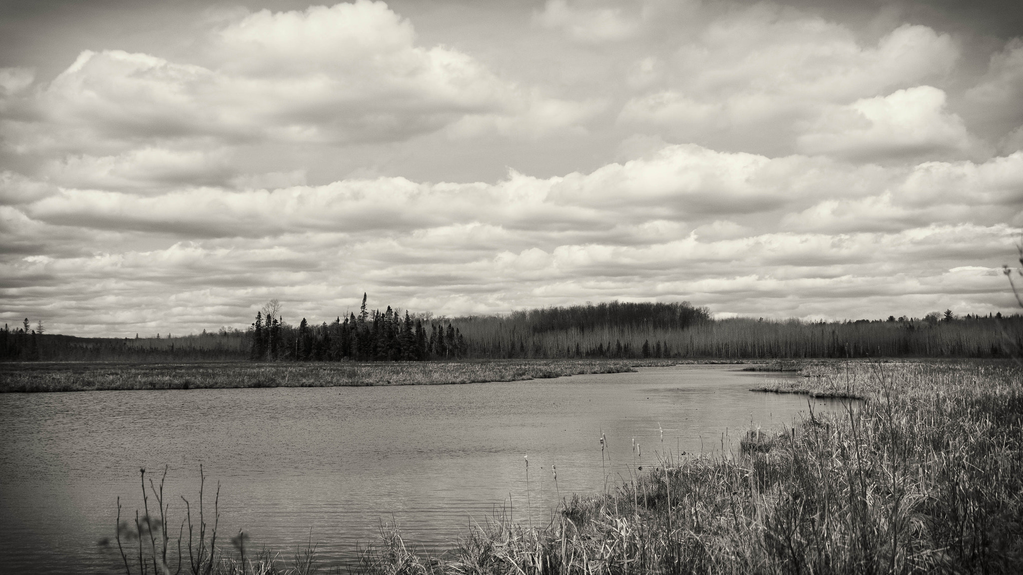 Canon EOS 550D (EOS Rebel T2i / EOS Kiss X4) sample photo. River and trees photography