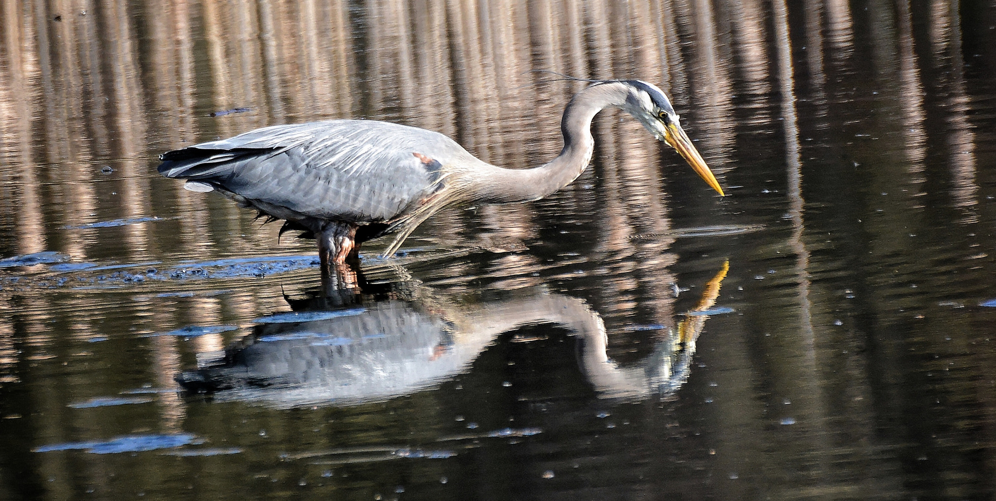 Nikon D7100 + Sigma 70-300mm F4-5.6 DG OS sample photo. Closer ... photography