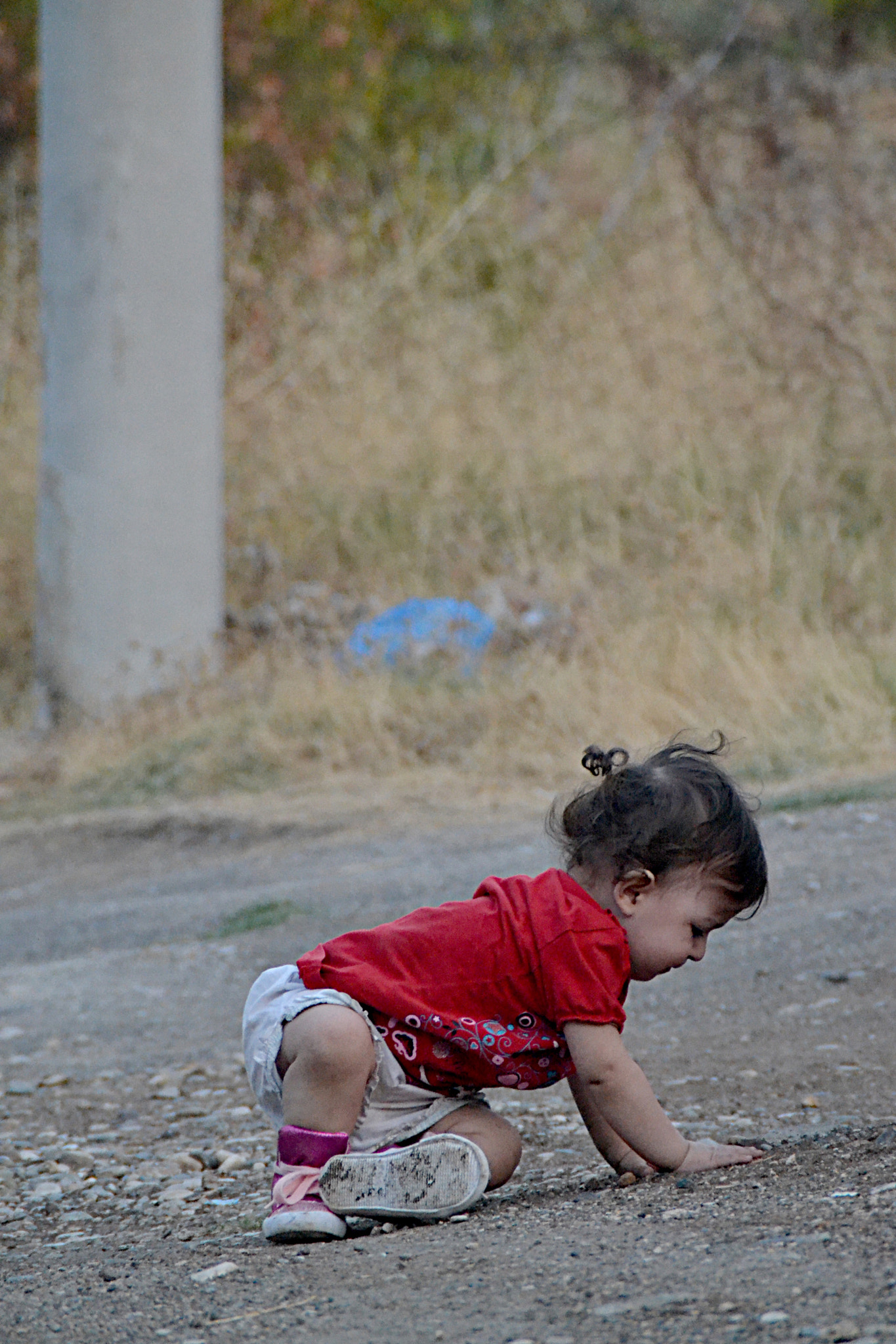 Sigma 120-400mm F4.5-5.6 DG OS HSM sample photo. Lovely photography
