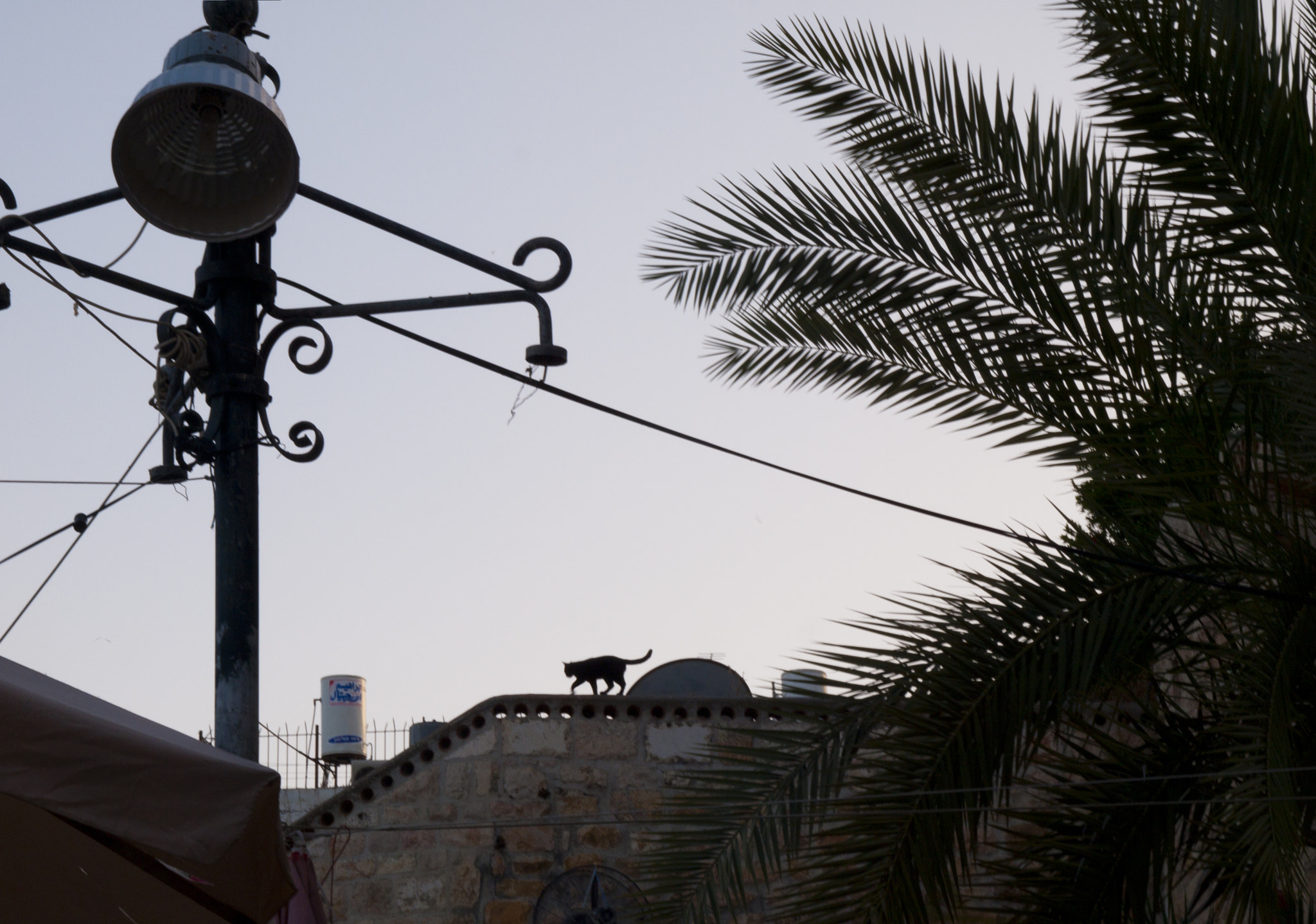 Olympus E-520 (EVOLT E-520) + SIGMA 18-50mm F2.8 DC sample photo. On the rooftops of jerusalem photography