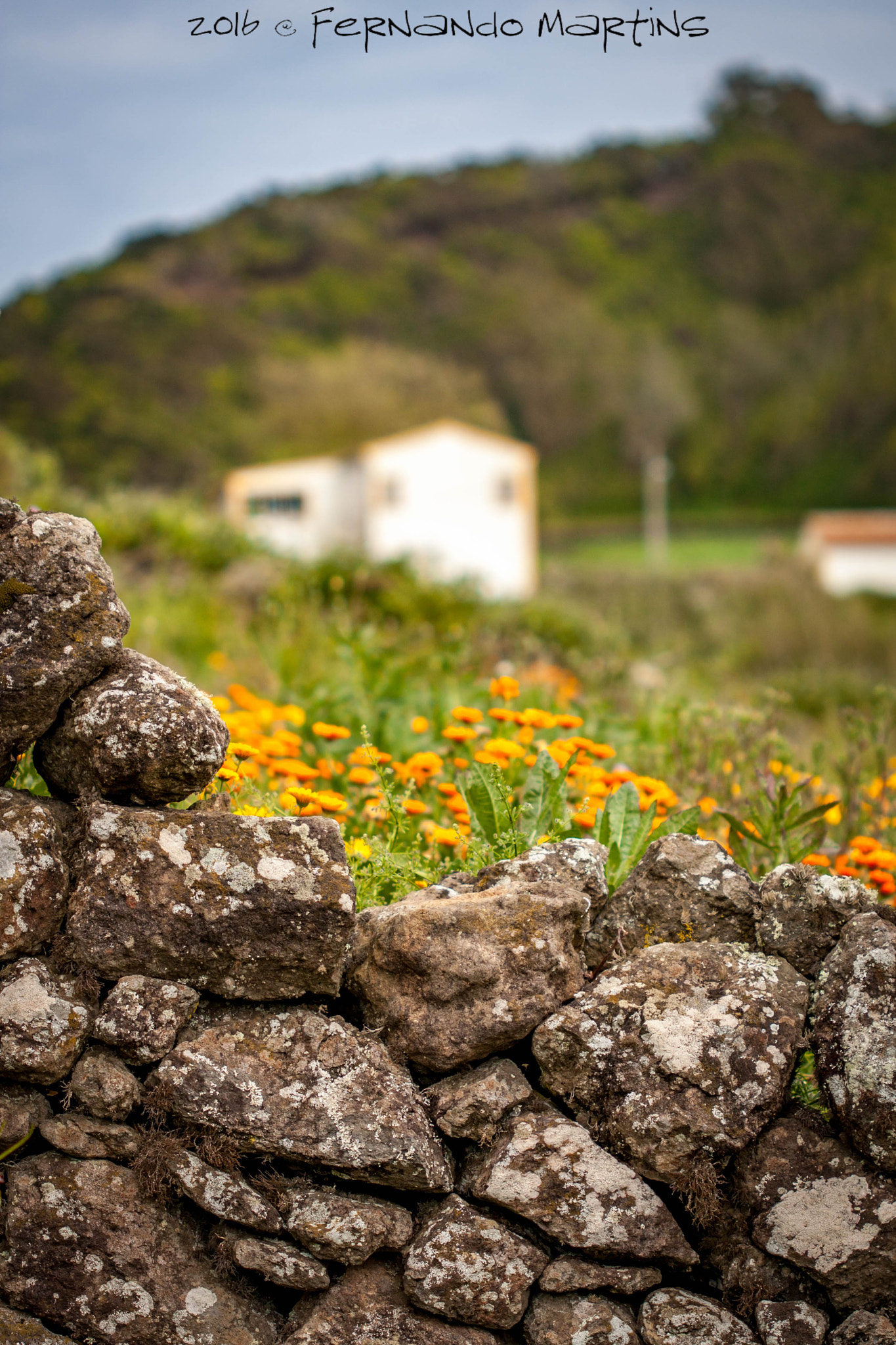 Canon EF 100mm F2.8 Macro USM sample photo. Campo photography