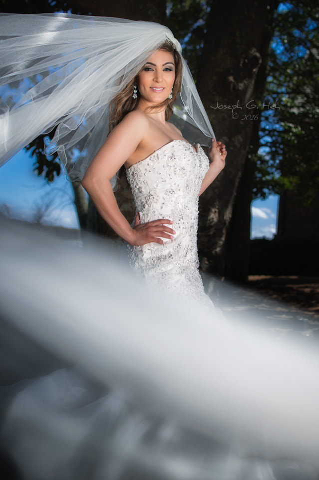 Nikon D800E sample photo. The veil photography