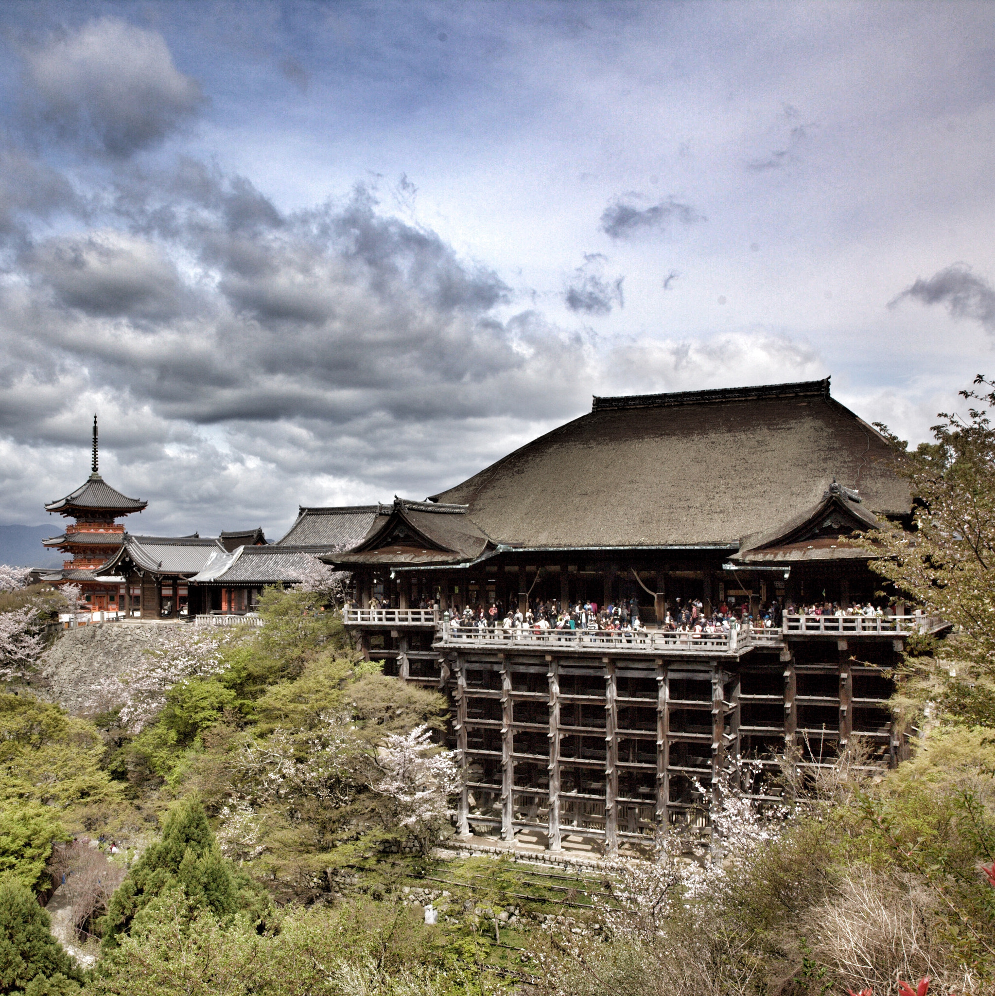Canon EF 24-70mm F2.8L II USM sample photo