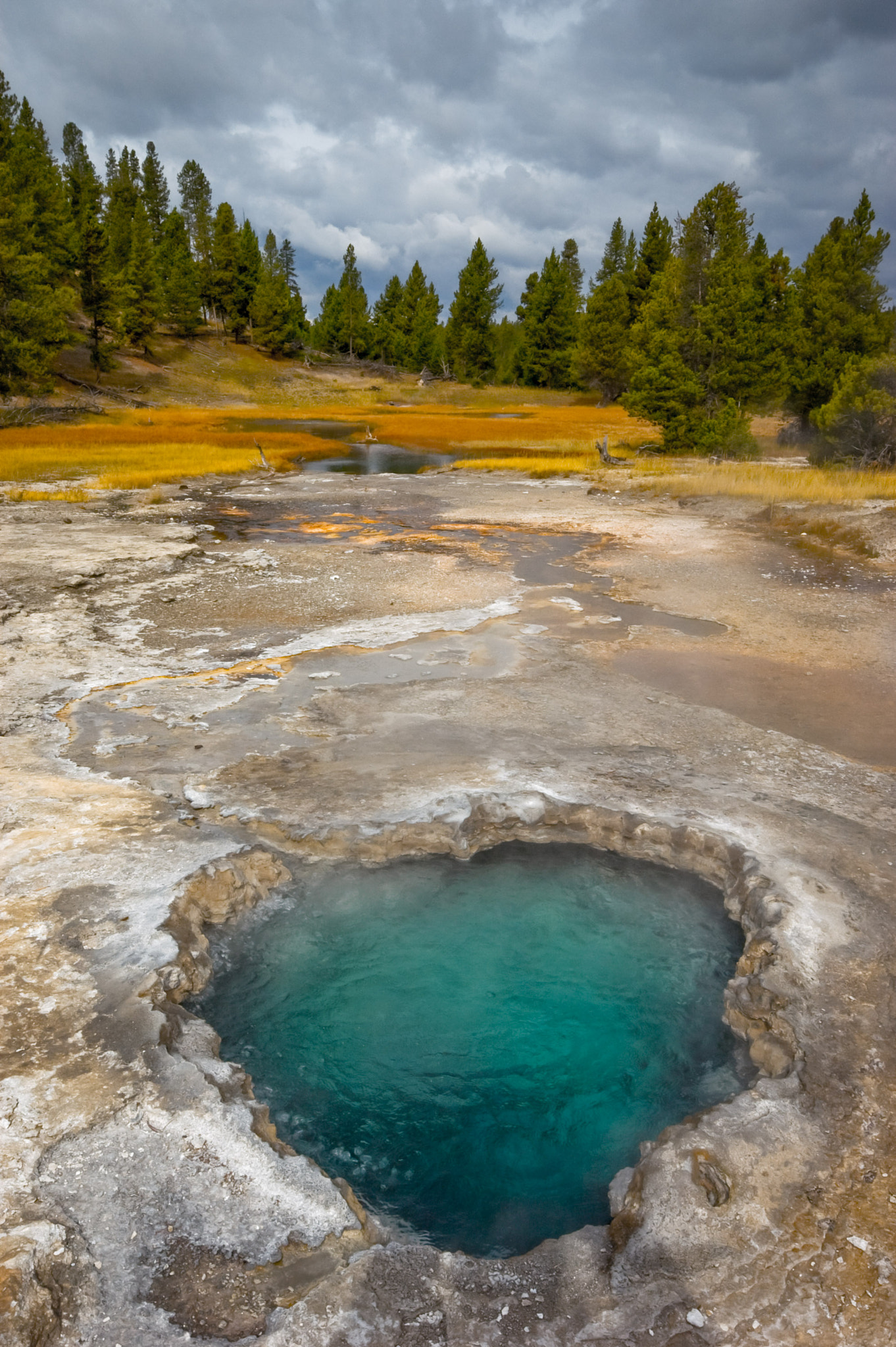 Nikon D70 sample photo. Eye to nature photography