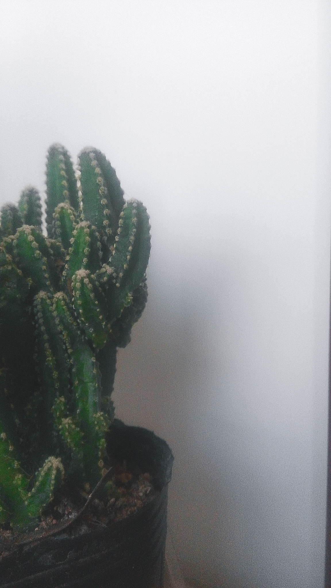 Xiaomi HM NOTE sample photo
