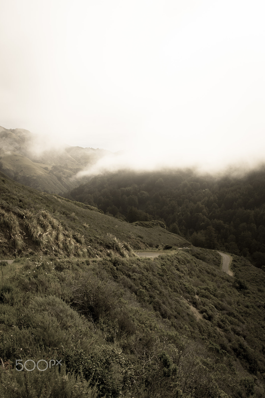 Pentax K-3 II + HD Pentax DA 21mm F3.2 AL Limited sample photo. Twisty road photography