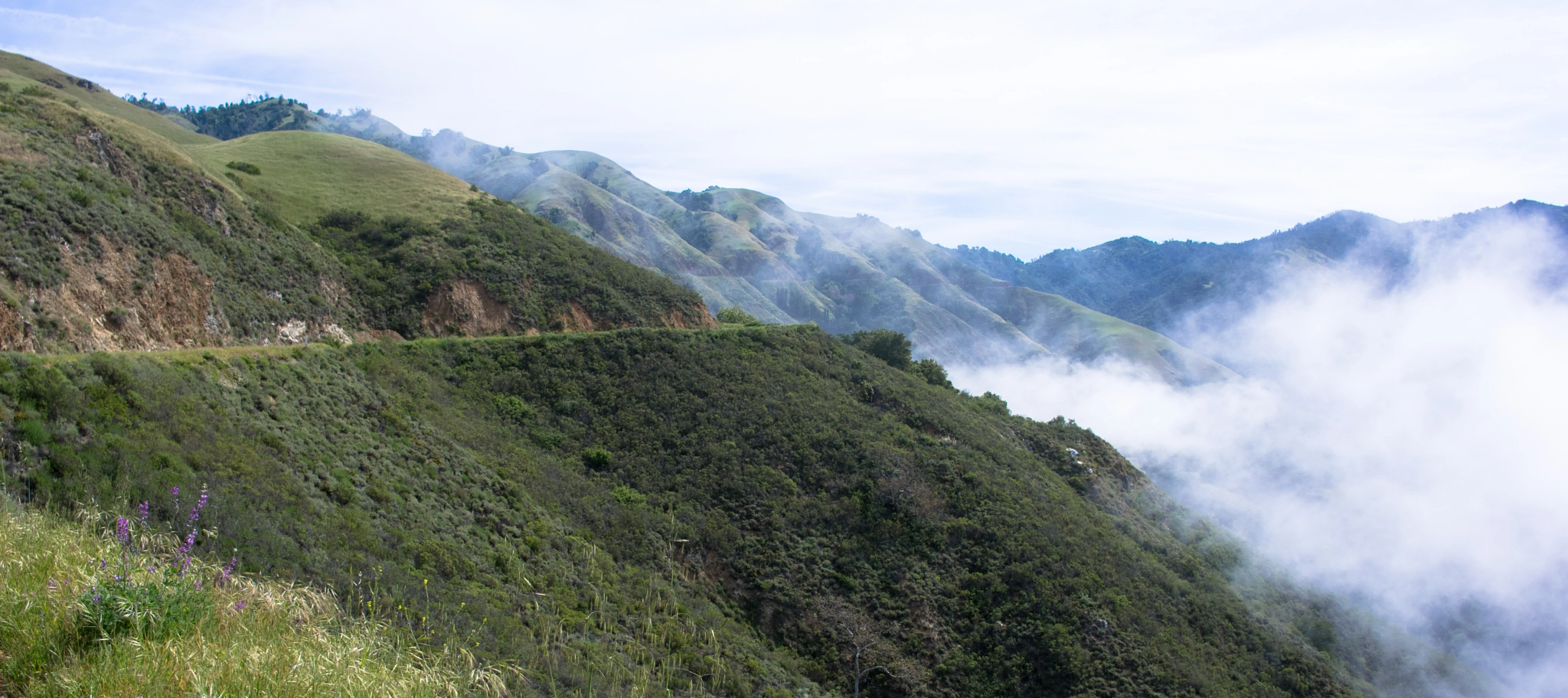 Pentax K-3 II + HD Pentax DA 21mm F3.2 AL Limited sample photo. On the lone road out of big sur. photography