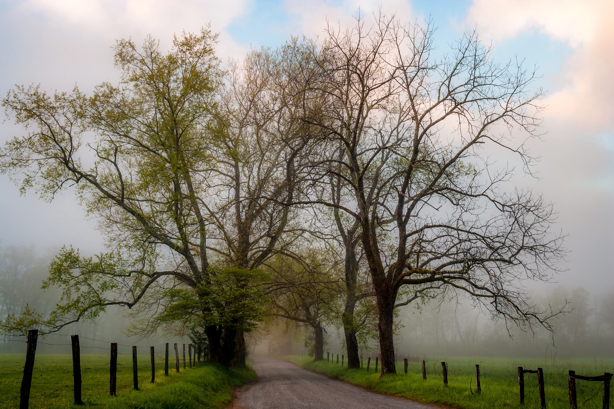 Canon EOS-1Ds Mark II + Canon EF 28-80mm f/2.8-4L sample photo. An unbroken morning photography