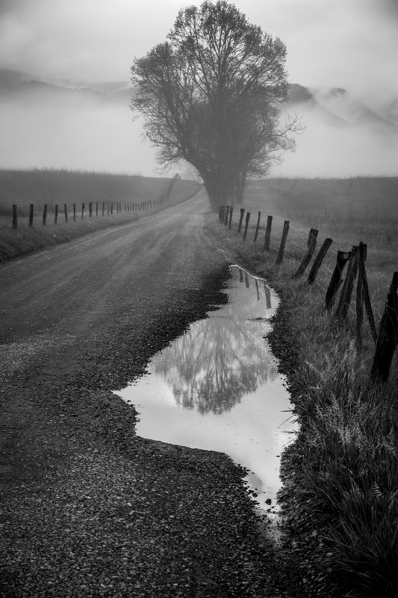 Canon EF 28-80mm f/2.8-4L sample photo. Between the heavens and the earth photography