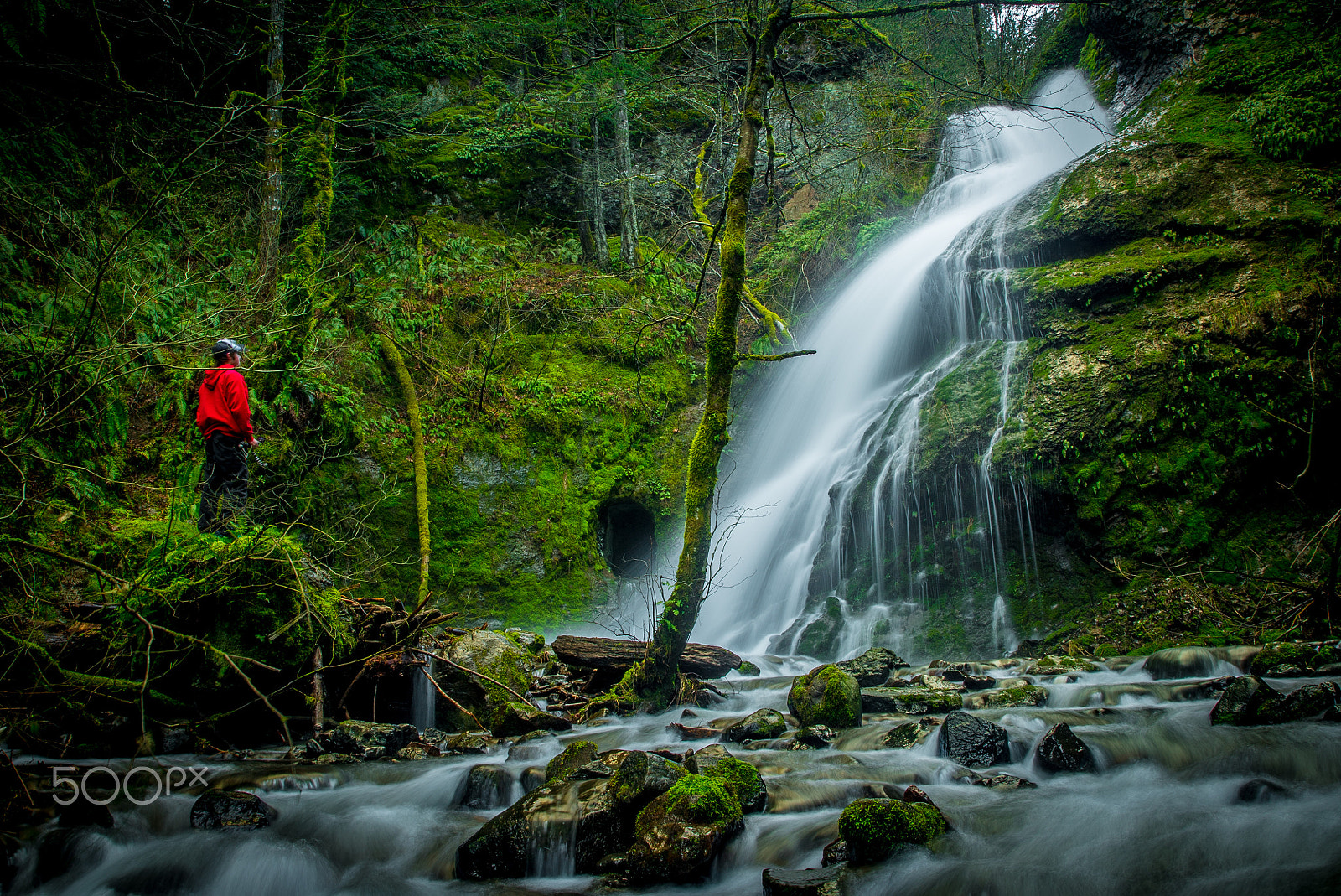 24-105mm F4 G SSM OSS sample photo. Peaceful cascade 2 photography