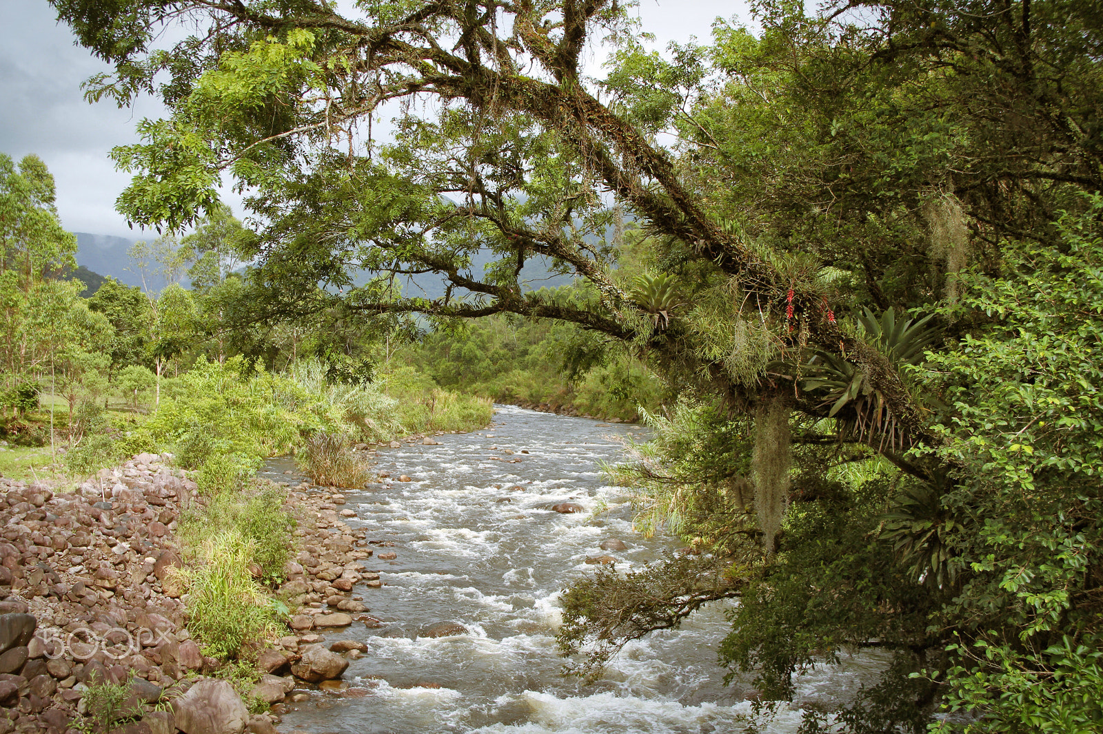 Canon EF-S 18-135mm F3.5-5.6 IS sample photo. River flows through... photography