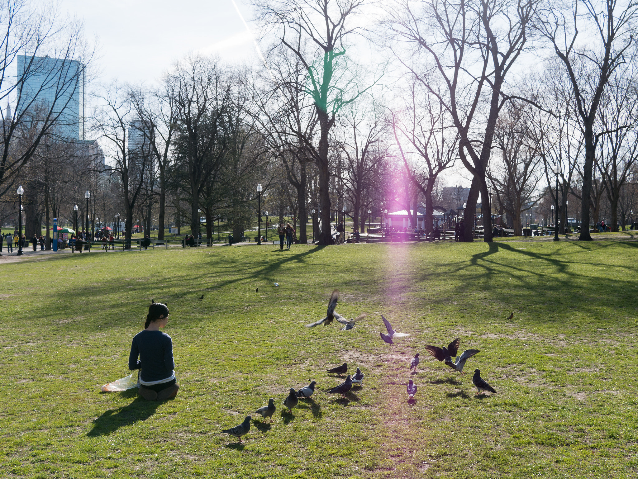 Panasonic Lumix DMC-GX7 + Panasonic Lumix G 20mm F1.7 ASPH sample photo. Girl with pigeons photography