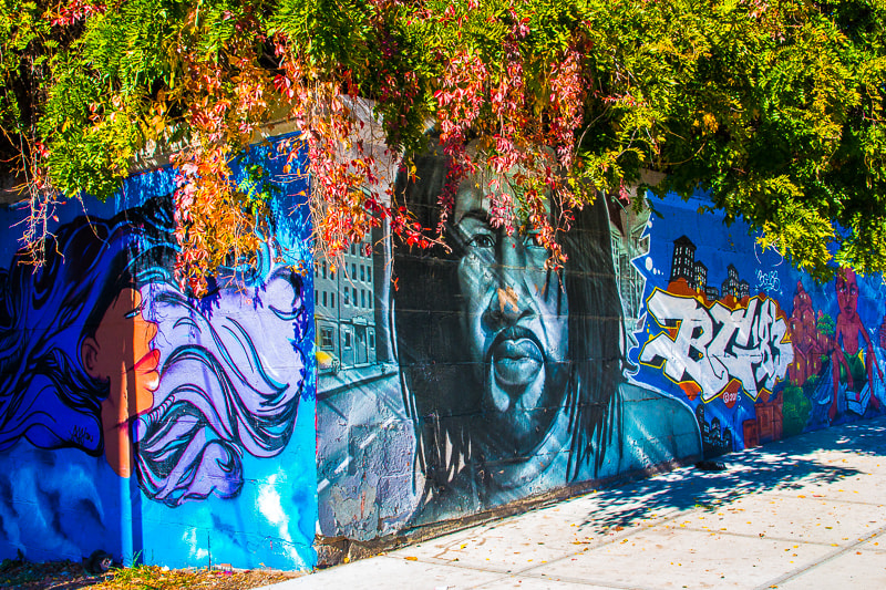 Canon EOS 70D + Canon EF 500mm F4L IS USM sample photo. Dj kool herc wall graffiti in the fall photography