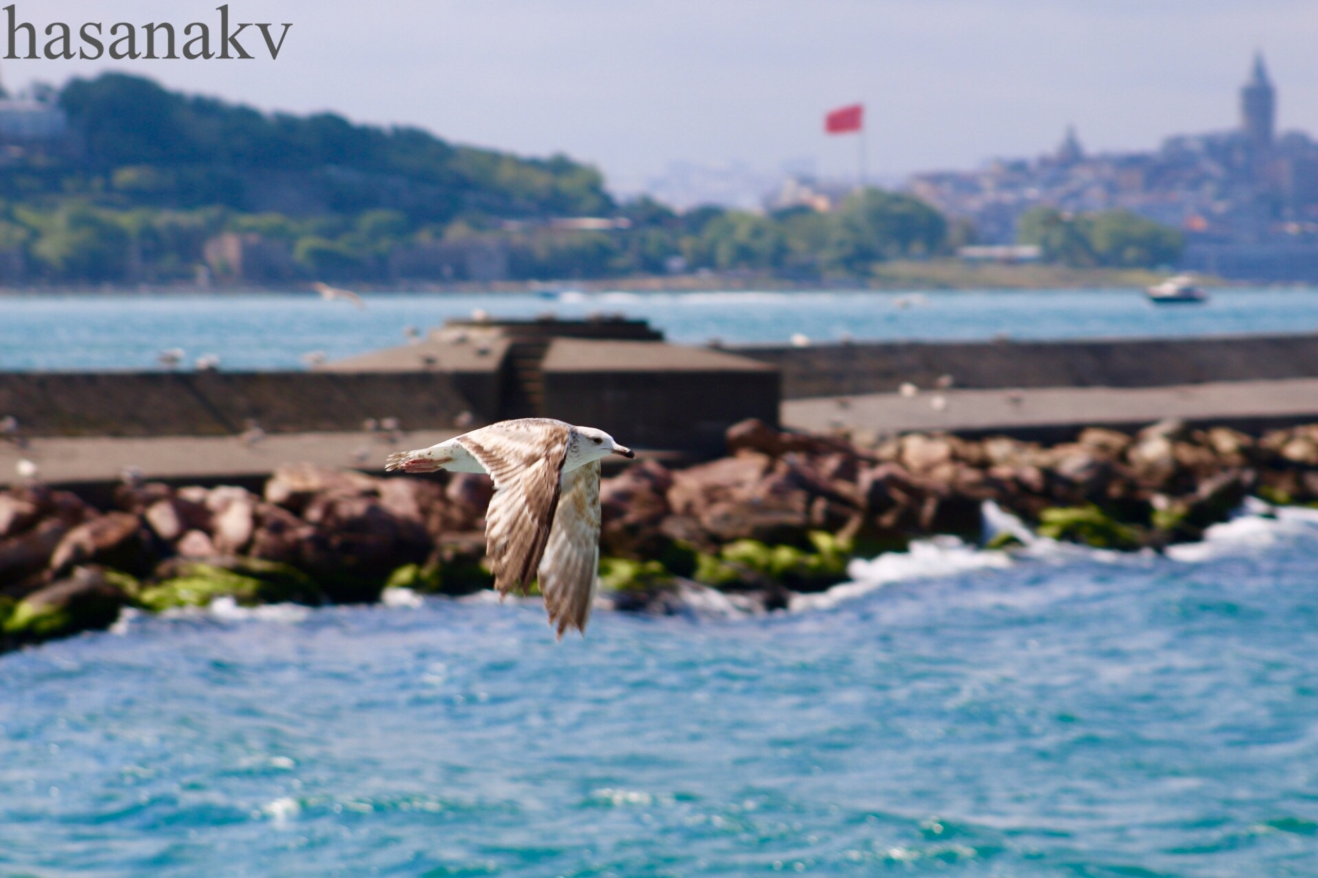 Canon EF75-300mm f/4-5.6 sample photo. Untitled photography