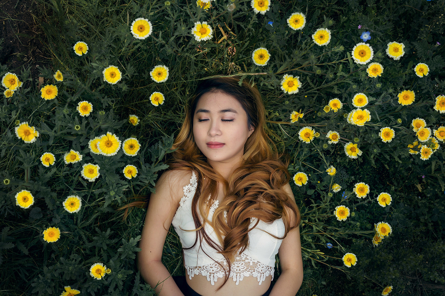 Sigma 24-70mm F2.8 EX DG Macro sample photo. Keep calm and live your dream photography