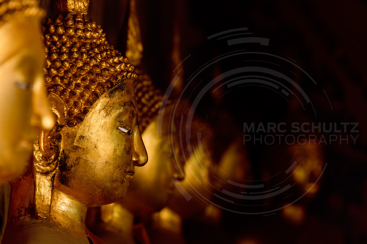 Sigma 150-600mm F5-6.3 DG OS HSM | C sample photo. The lord buddha photography