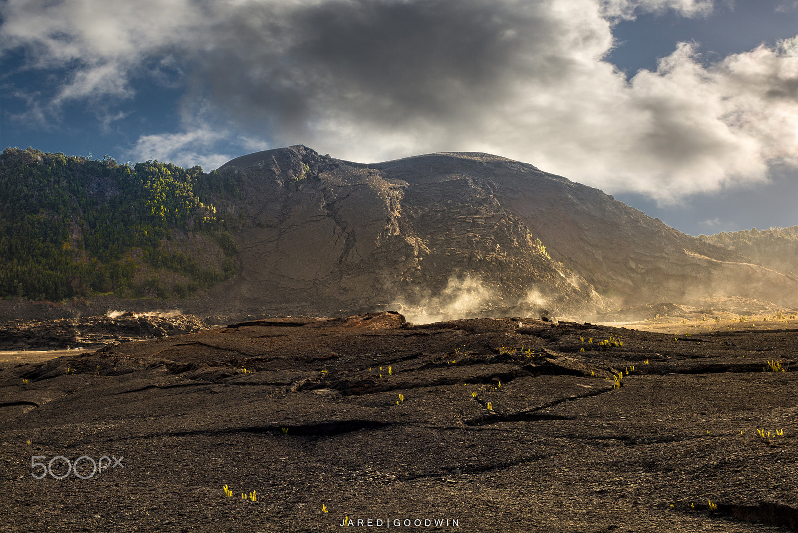 Nikon D7100 + Nikon AF Nikkor 35mm F2D sample photo. Steaming grounds photography