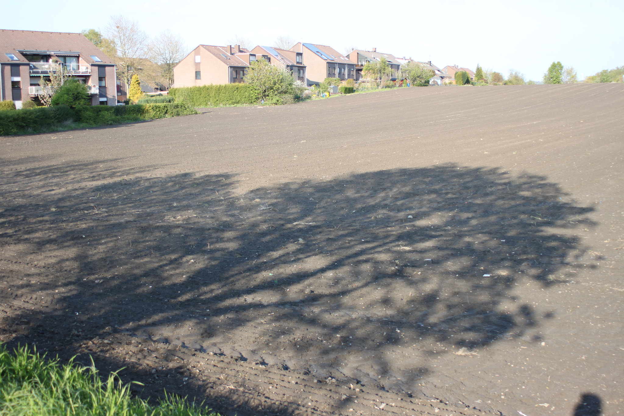 Canon EF 28-80mm f/3.5-5.6 sample photo