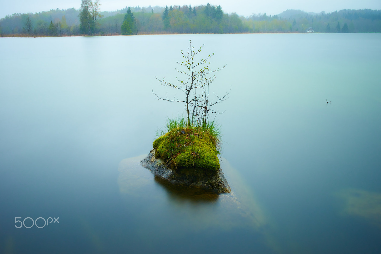 Sony a7 + 35-70mm F4 sample photo. Mini island on the lake photography