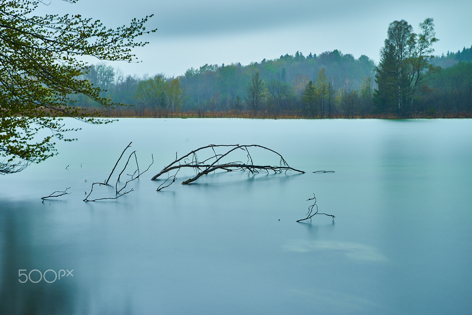 Sony a7 + 35-70mm F4 sample photo. Trees in water - long exposure photography