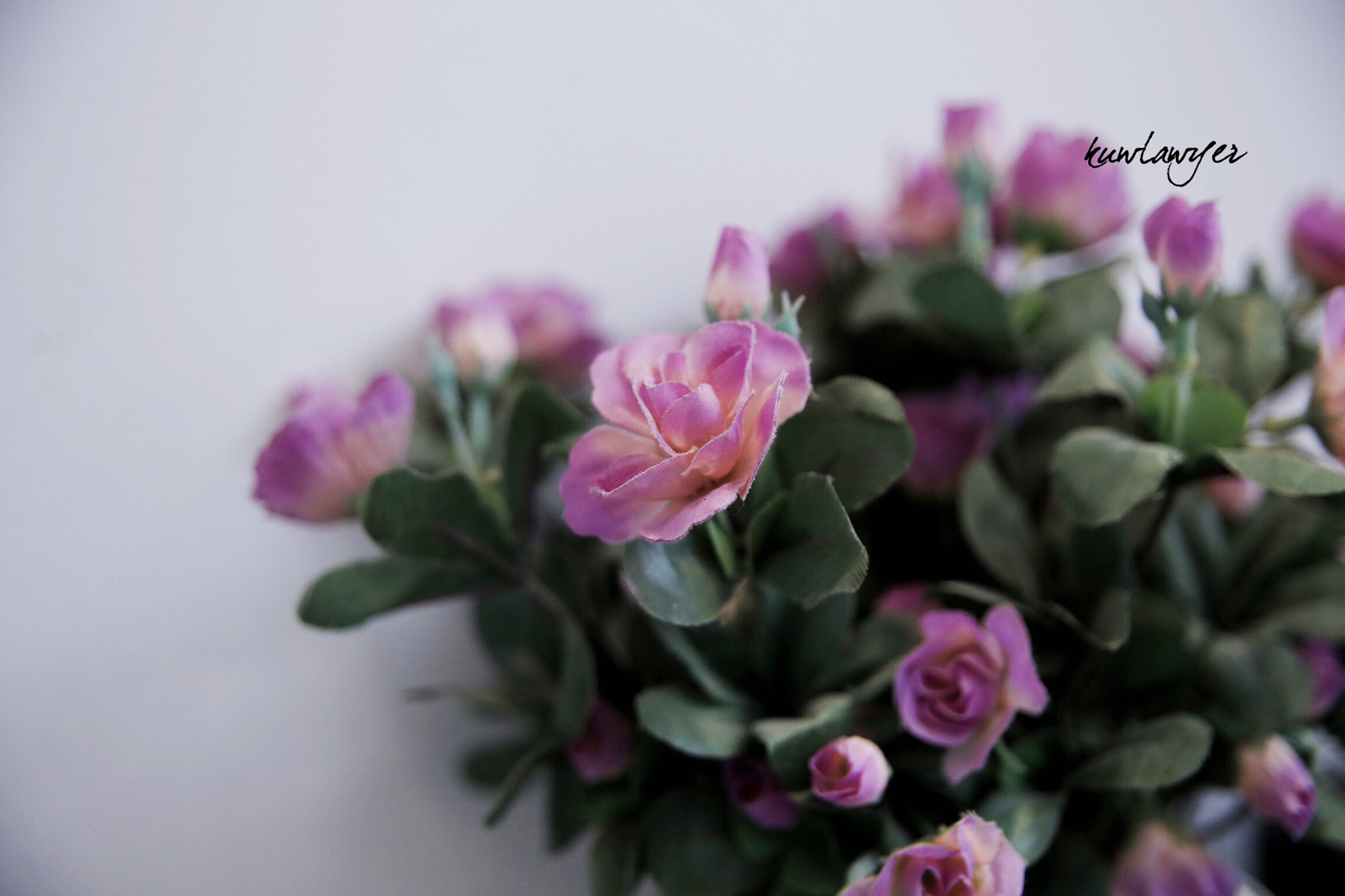 Canon EOS 6D + Canon 24-70mm sample photo. G.m photography