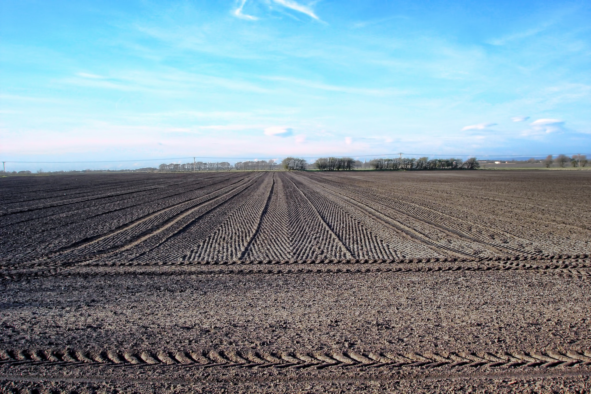 Sony DSC-P120 sample photo. All ploughed (1) photography
