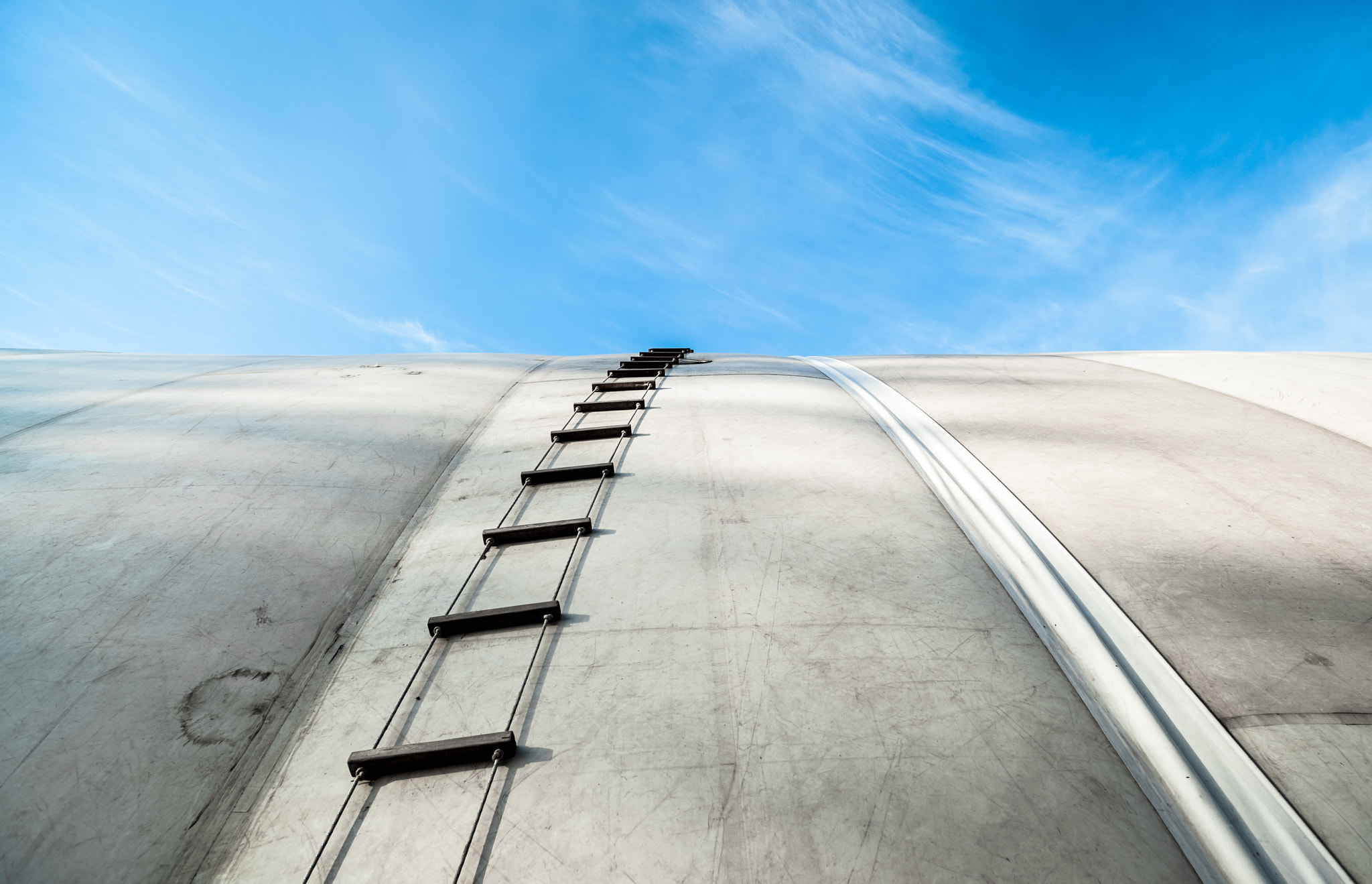 Nikon D3 sample photo. "up" photography