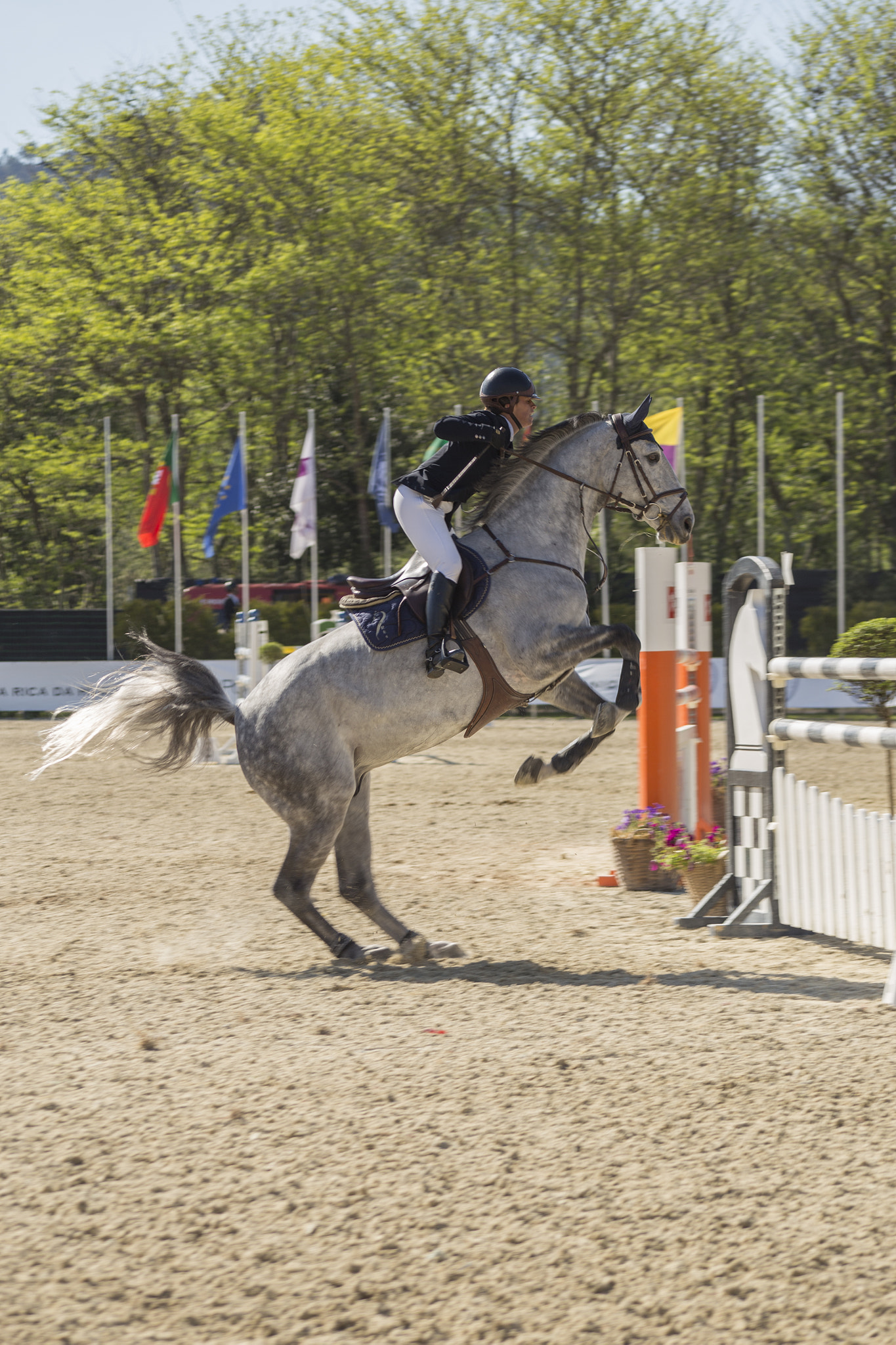 Canon EF 100-300mm F4.5-5.6 USM sample photo. Jumping photography