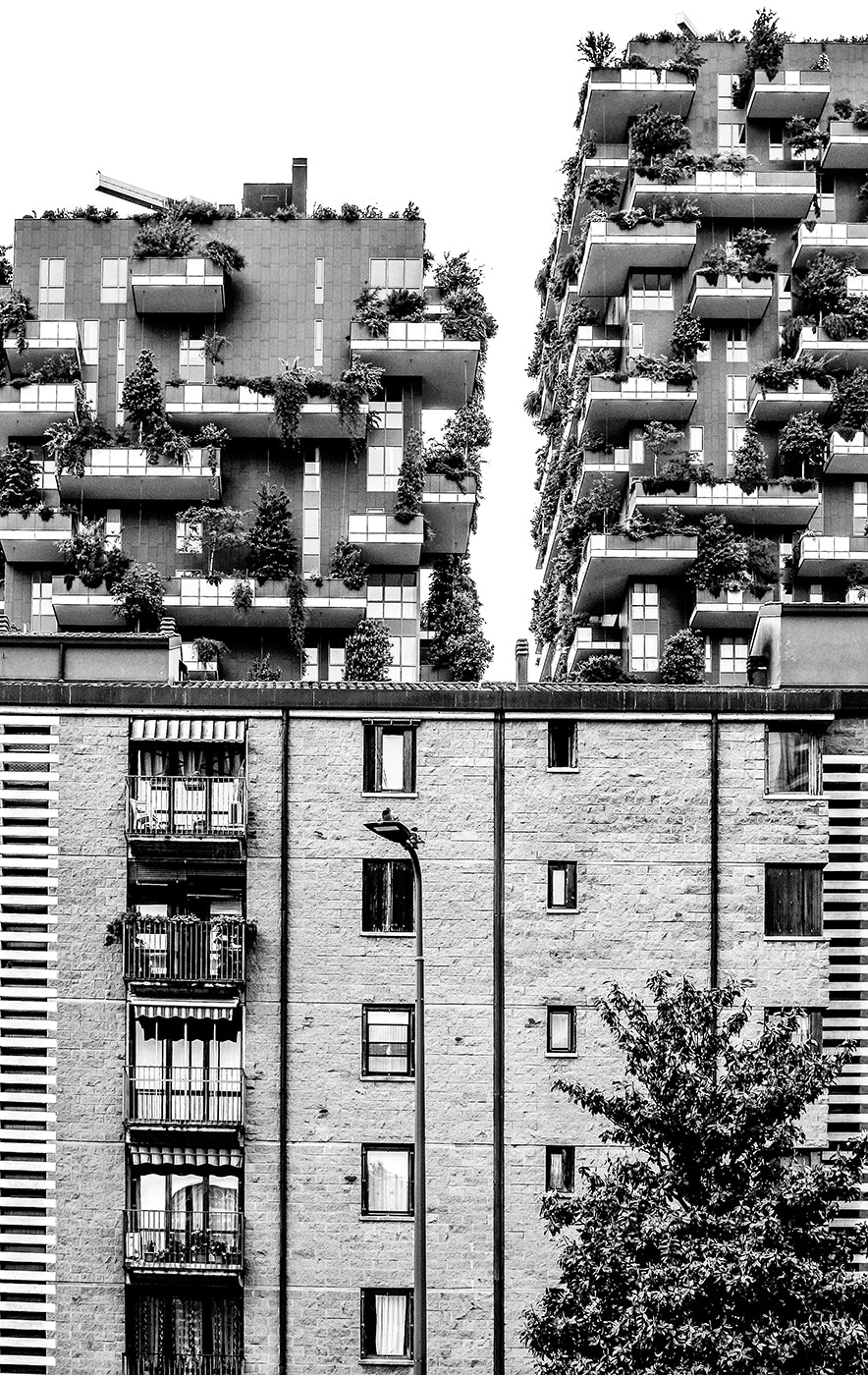 Nikon 1 Nikkor 18.5mm F1.8 sample photo. Bosco verticale photography