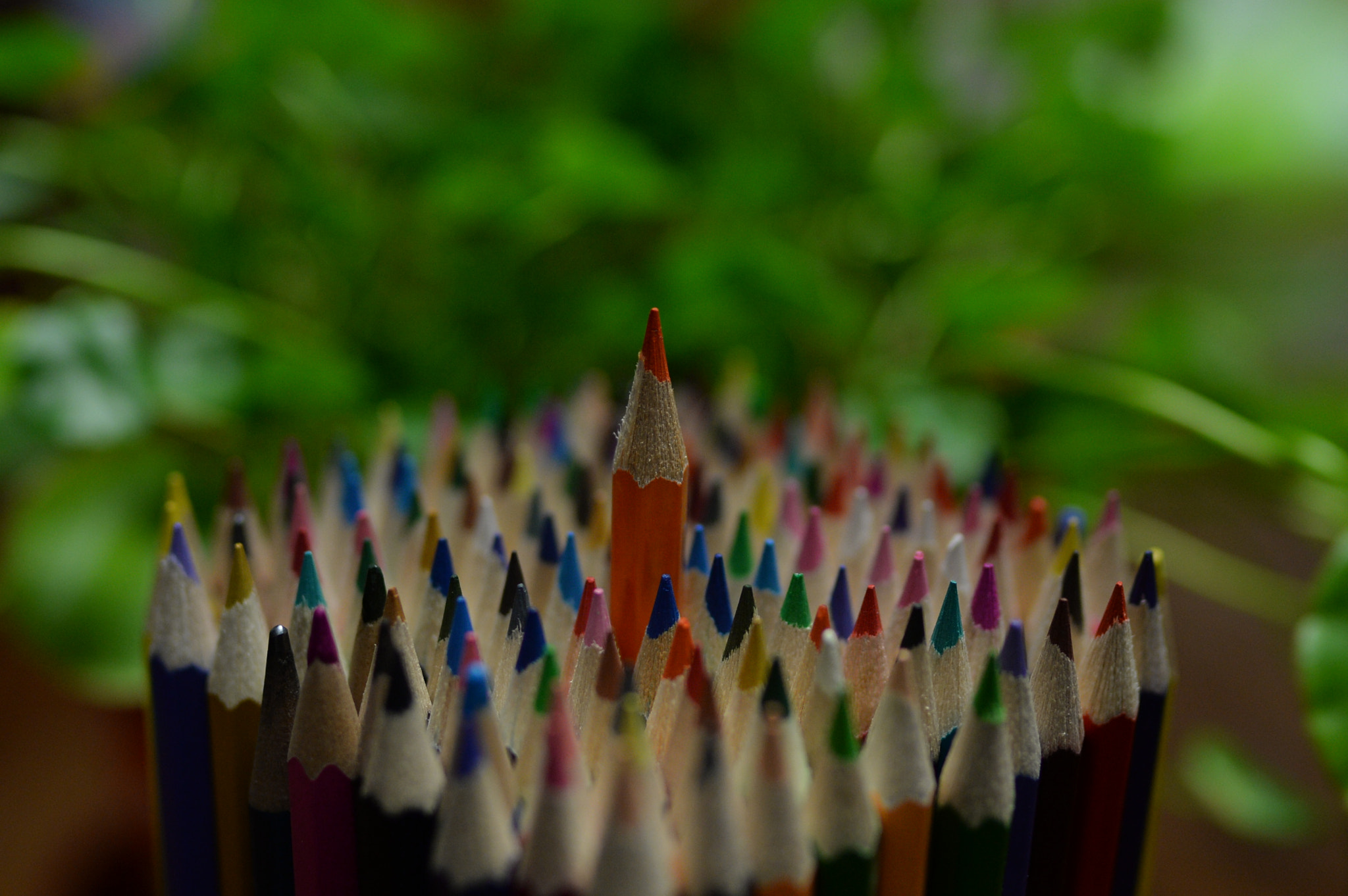Nikon Df sample photo. Story of pencil photography