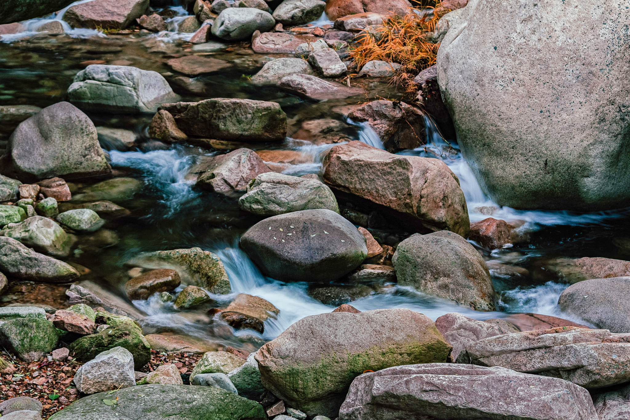 Canon EOS 40D sample photo. Autumn mountain stream photography