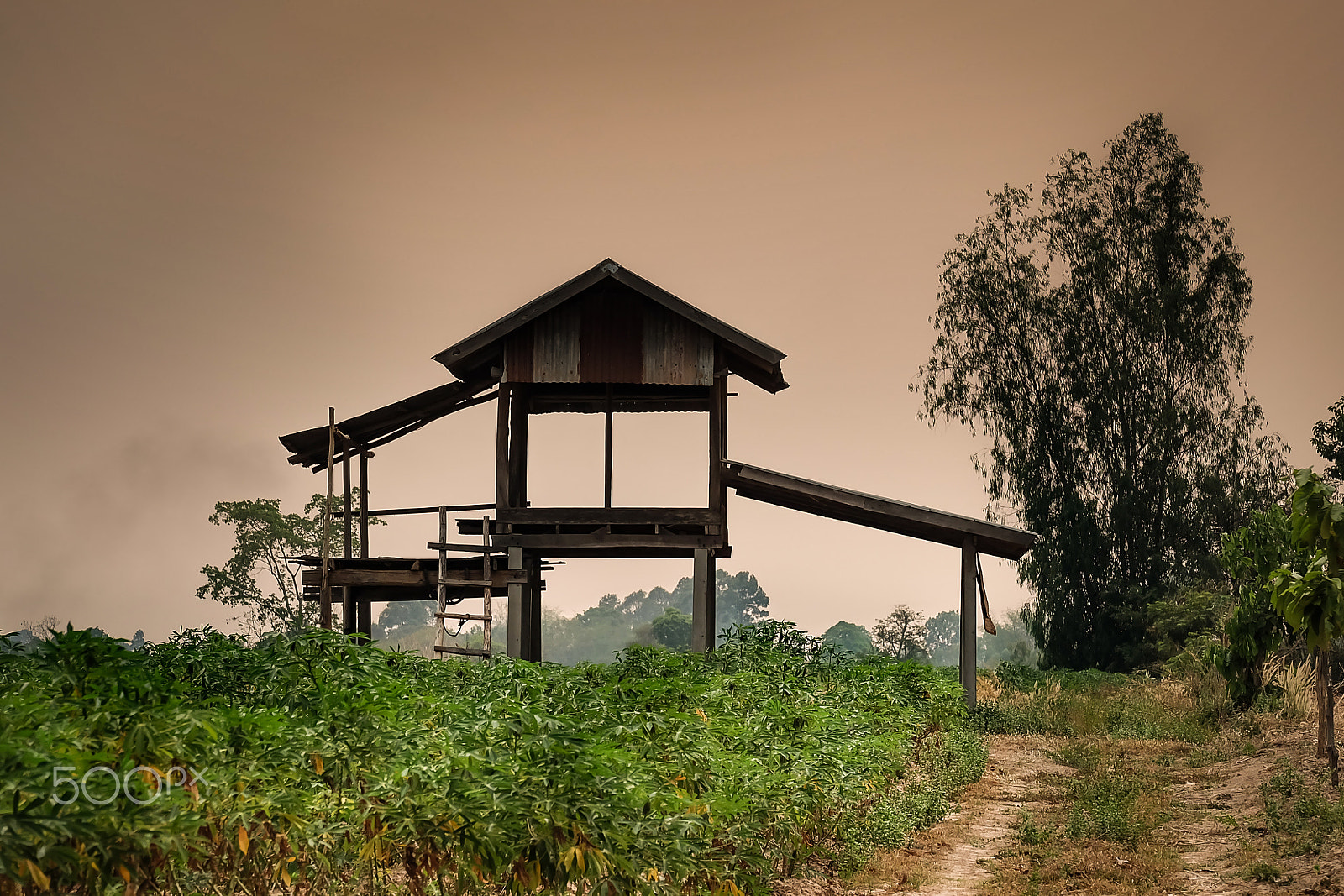 Fujifilm X-A1 + Fujifilm XC 50-230mm F4.5-6.7 OIS sample photo. Thailand re-visited photography