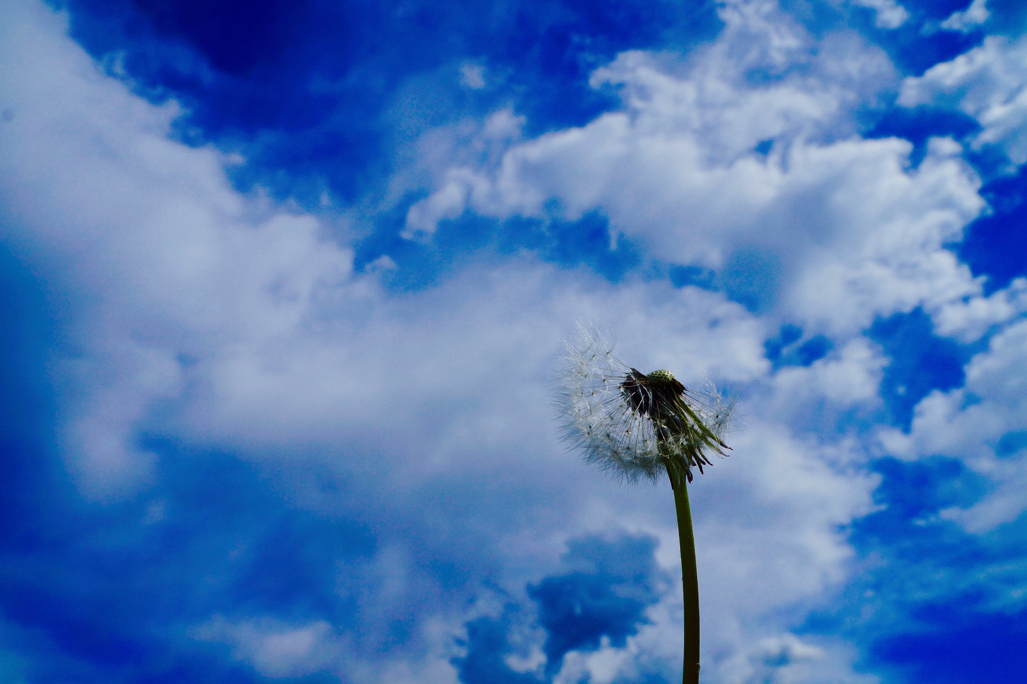 Tamron 18-200mm F3.5-6.3 Di III VC sample photo. #colors photography