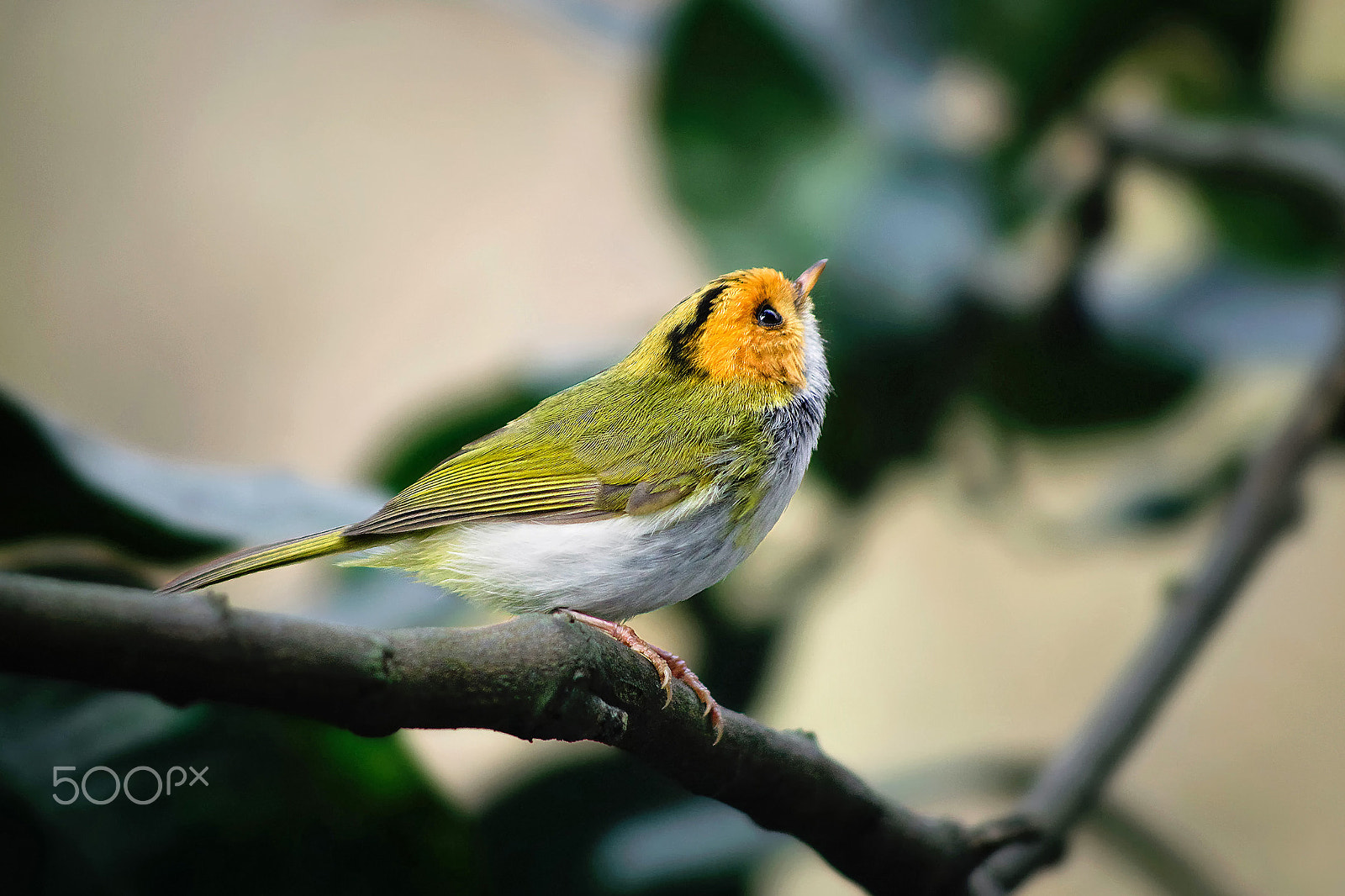 smc PENTAX-DA L 55-300mm F4-5.8 ED sample photo. Lovely moment photography