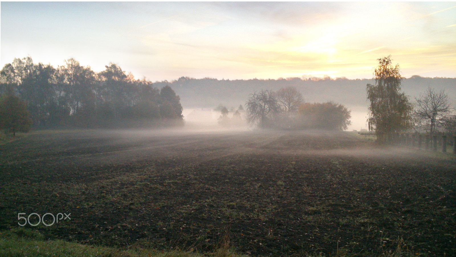 Sony Xperia P sample photo. Morning fog photography