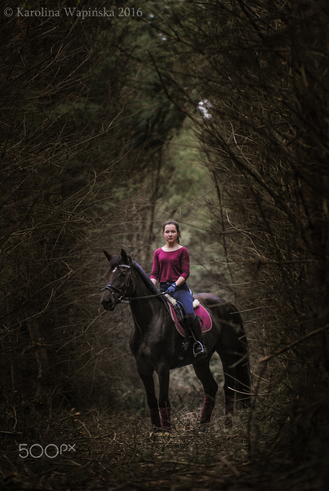 Nikon D3000 sample photo. Mirkwood photography